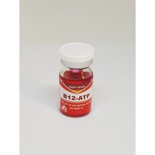 Combo 4 lọ Thuốc tăng B12 ATP