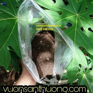 Phân Bón Mùn Compost (Gói 2kg) Tạo Độ Mùn,Độ Màu Mỡ Cho Đất