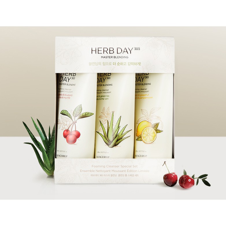 [Mã COSTFS205 -8% đơn 250K] (HSD-01/11/22)Bộ Sữa Rửa Mặt Thefaceshop Herb Day 365 Master Cleanser Special Set (3pc)
