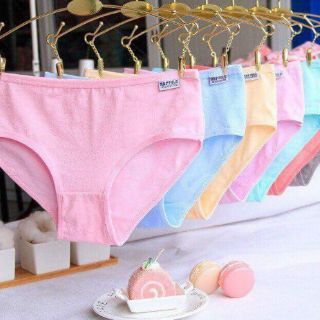 Combo 10 Quần lót cotton Pulo