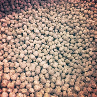 1kg Cám cá công nghiệp loại 3mm vừa