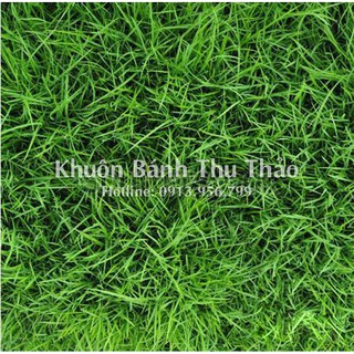 Phông nền 3D chụp ảnh sản phẩm 20000