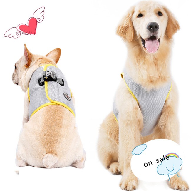 Áo Vest Mùa Hè Cho Thú Cưng