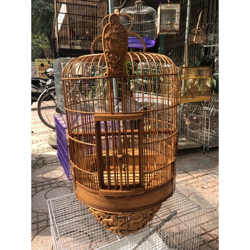 lồng chim my đục đẹp