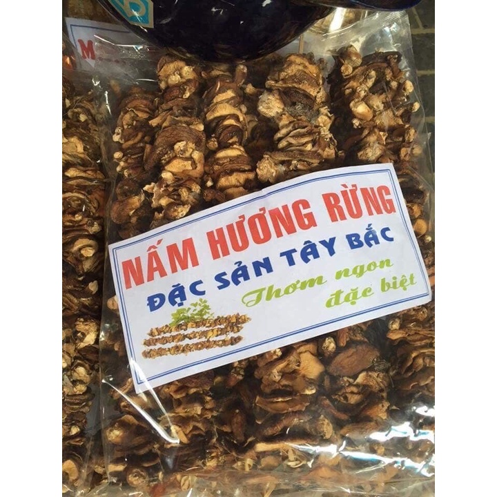 250gr NẤM HƯƠNG RỪNG TÂY BẮC - nấm to và rất thơm