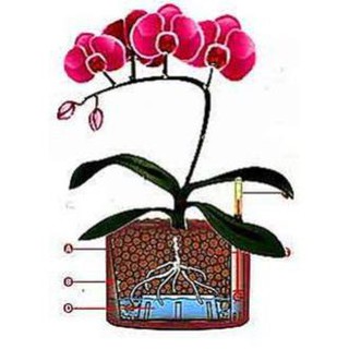 VIÊN ĐẤT NUNG (SỎI NHẸ) SFARM 5DM3 (KT 10-20MM)