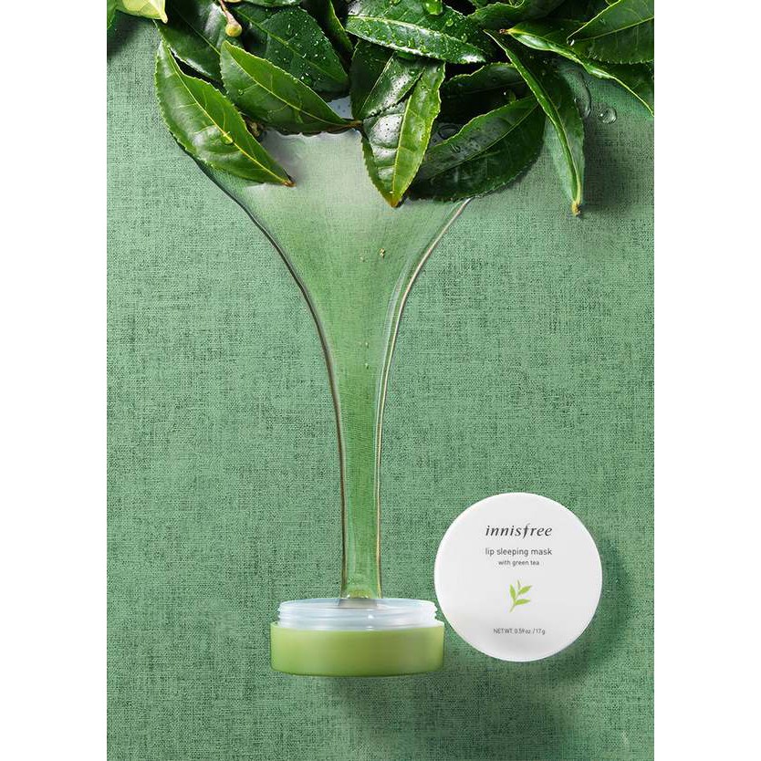 Mặt Nạ Ngủ Môi Innisfree Lip Sleeping Mask With Green Tea 17g | BigBuy360 - bigbuy360.vn