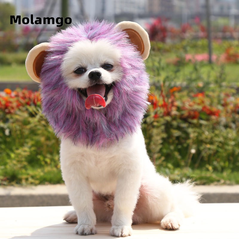 Bờm Sư Tử Dễ Thương Thời Trang Cho Thú Cưng bờm sư tử cho mèo