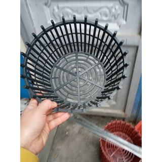 5 cái chậu trồng lan có lan phụ phi 27cm x13cm