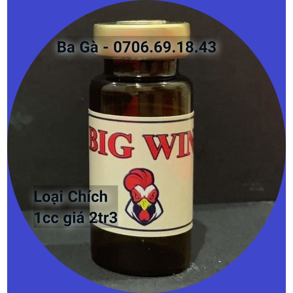 Thuốc gà đá BIG WIN 1cc - Giúp tăng bo, tải cựa, nuốt ói [Loại chích]