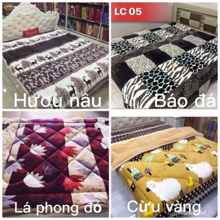 Chăn lông cừu đại hàn siêu ấm - hàng uy tín