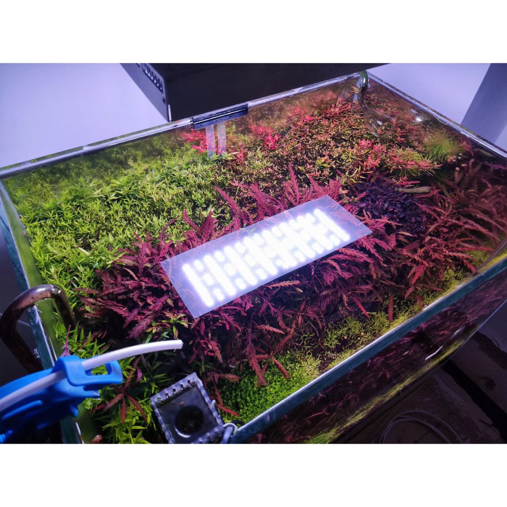 đen Led Thủy Sinh Wrgbu Skyled Tank Phụ Kiện Thủy Sinh Thucungmall Com