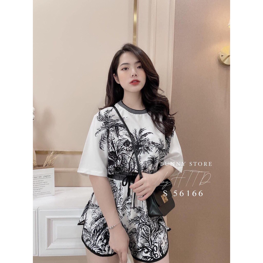 Set bộ cây dừa cotton lụa - S59  , thời trang nữ Hamoon | BigBuy360 - bigbuy360.vn