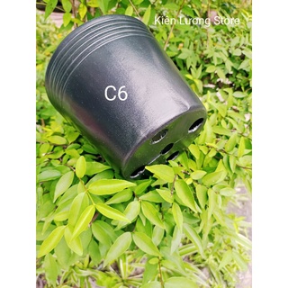 Chậu nhựa đen C6