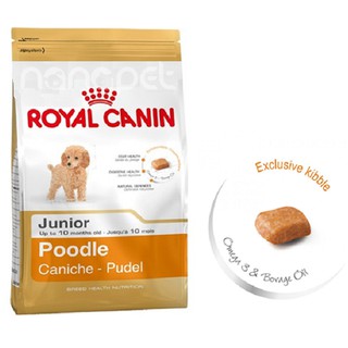 [Túi 500g] Thức ăn hạt ROYAL CANIN POODLE JUNIOR dành cho poodle dưới 10 tháng tuổi