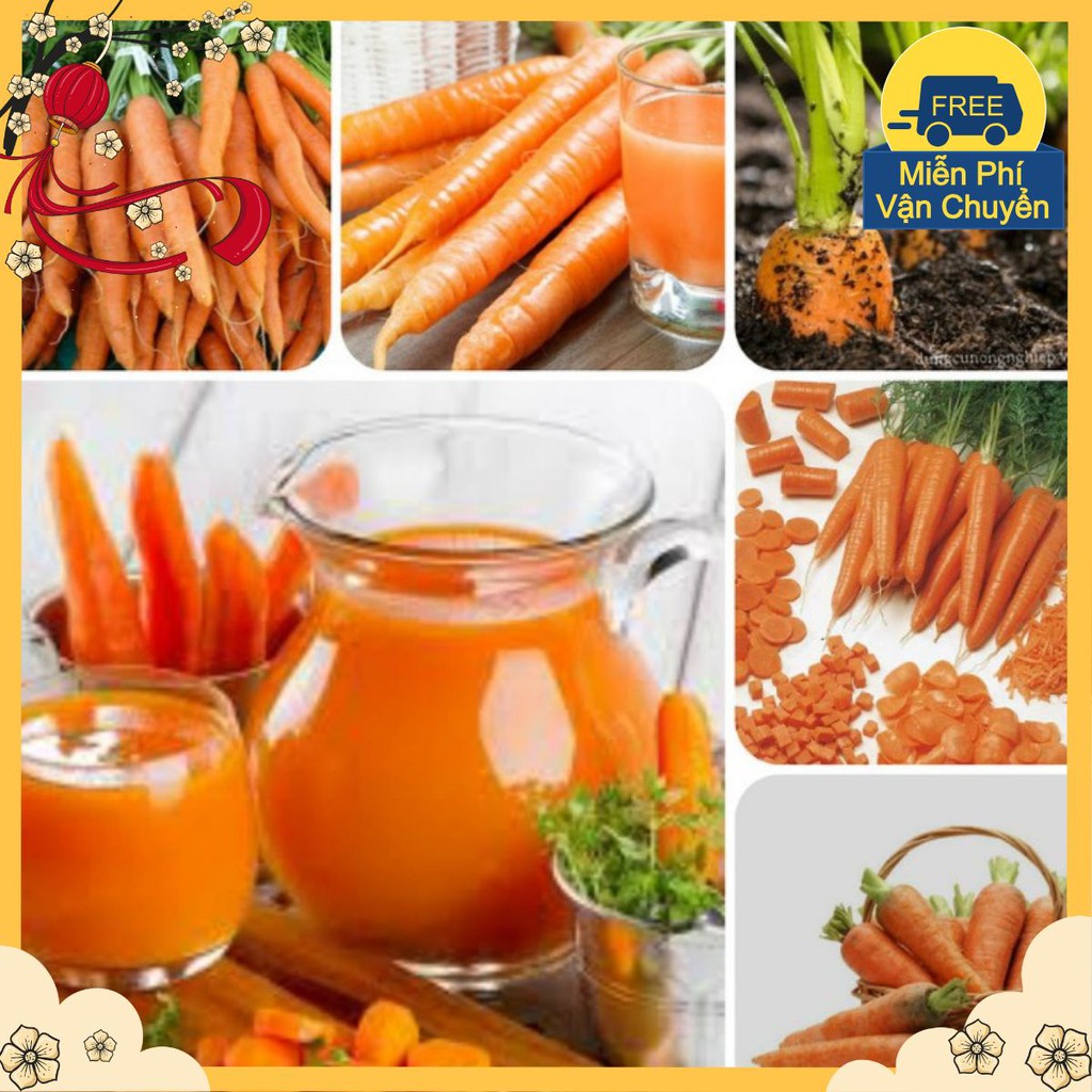 Hạt Giống Cà Rốt F1