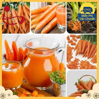 Hạt Giống Cà Rốt F1