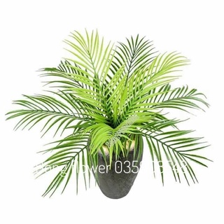 🌴 Cây Dừa Giả Trang Trí Cao 50cm 9 lá