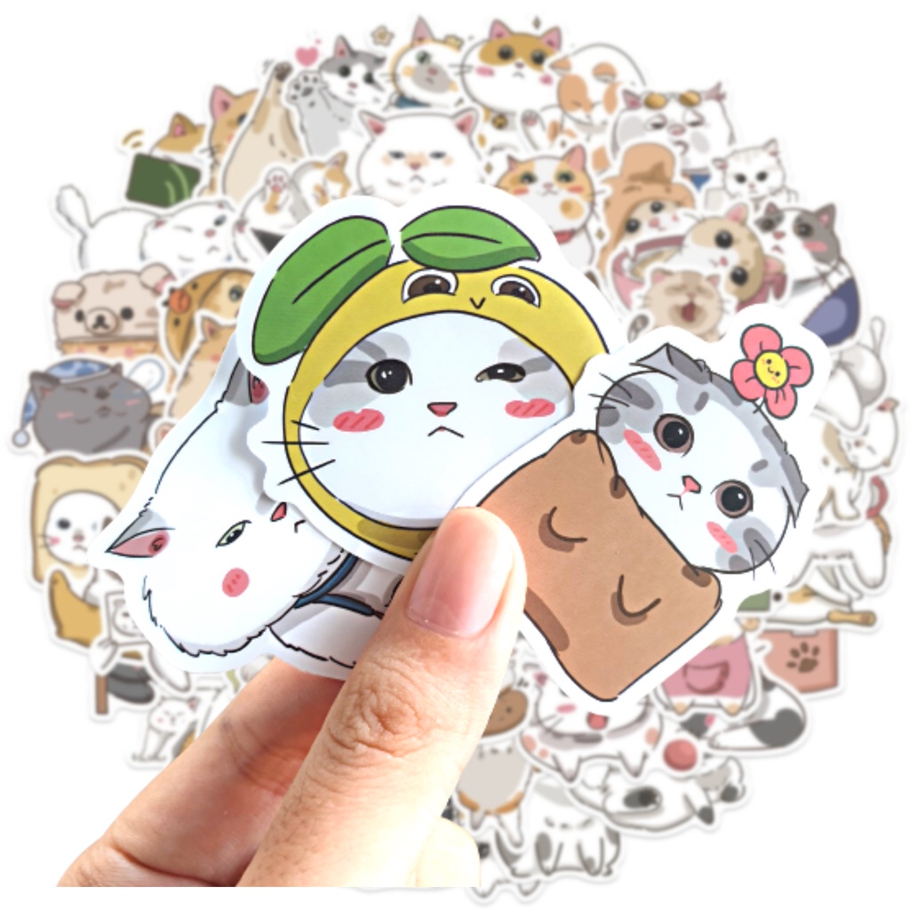 Set 62 sticker hình dán Mèo dễ thương chống thấm nước