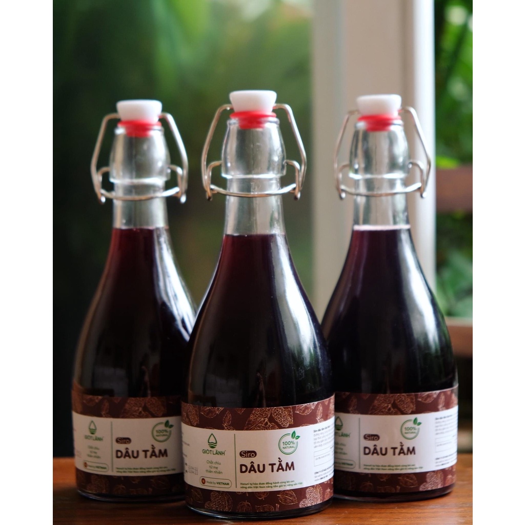 Chai thủy tinh/ Bình thủy tinh bầu tròn nắp kẹp 500ml cao cấp đựng kombucha, nước ép, detox