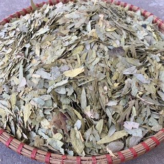 Lá Phan Tả Diệp khô [táo bón, giảm cân hiệu quả]