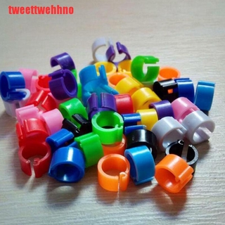 (Hàng Mới Về) Set 100 Vòng Đeo Chân Cho Chim Bồ Câu