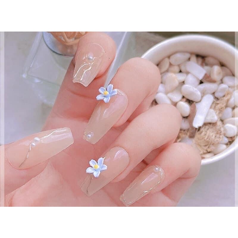 Set hoa gắn móng siêu xinh