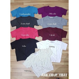 Áo croptop xoắn bụng tay ngắn