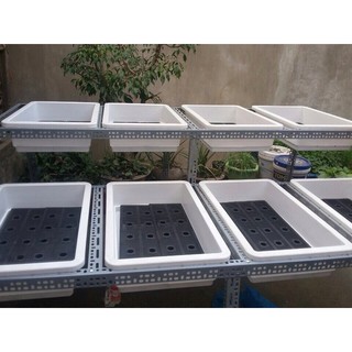 COMBO 10 chậu trồng rau 48x34x16cm - chậu màu trắng