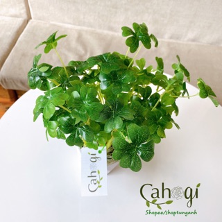 Cây Giả - Cây Cỏ May Mắn