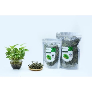 Trà lá Bạc hà - Thư giãn, ngủ ngon