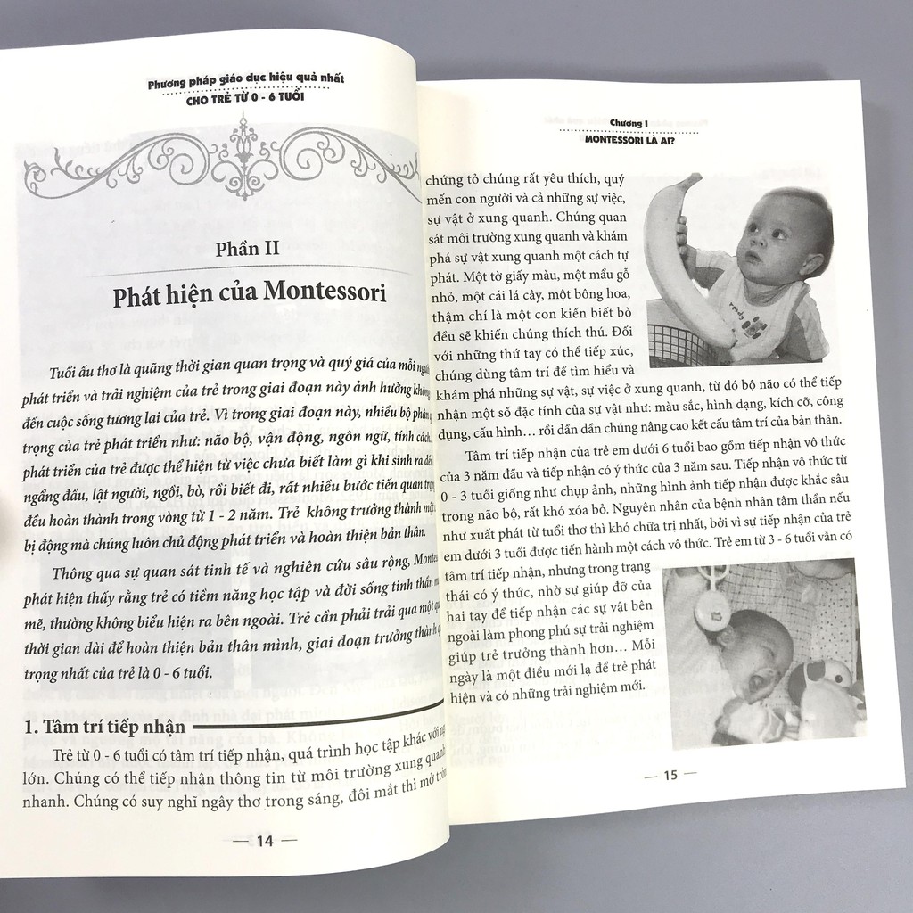 Sách Phương Pháp Giáo Dục Montessori - Phương Pháp Giáo Dục Tối Ưu Dành Cho Trẻ 0-6 Tuổi | BigBuy360 - bigbuy360.vn