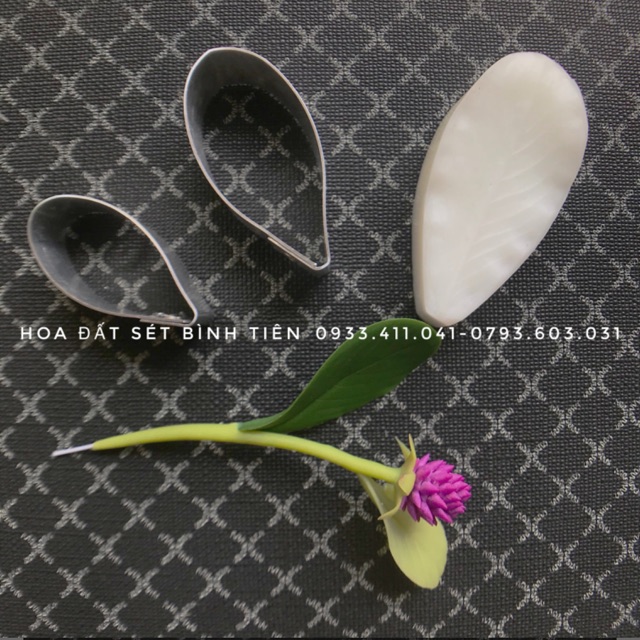 Set khuôn- gân lá cúc nhật