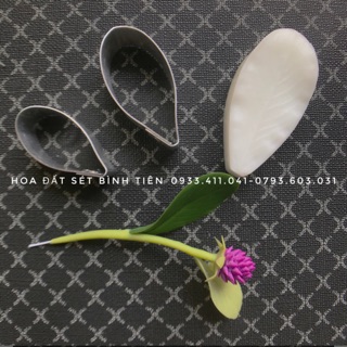 Set khuôn- gân lá cúc nhật