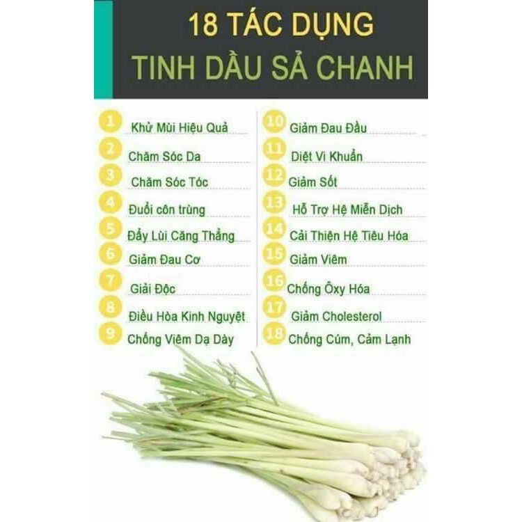 TINH DẦU SẢ CHANH 100ML