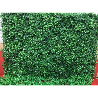 Combo 15 thảm cỏ xoong trang trí studio , cửa hàng nhà cửa, màu sắc đẹp trung thực