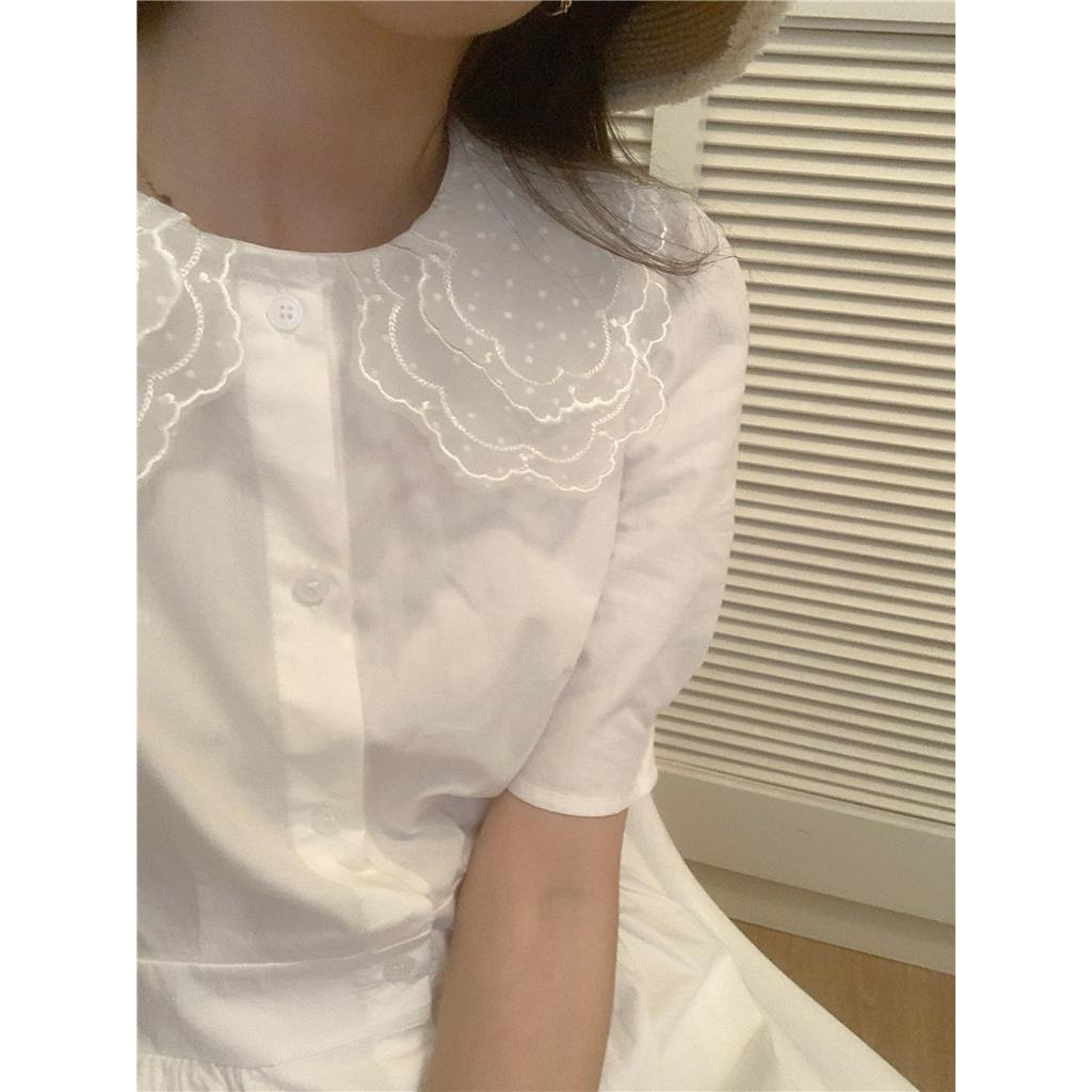 Đầm Cổ Ren Dáng Ôm Màu Sắc Xinh Xắn Cho Nữ 51716