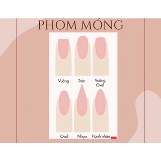 Móng up nailbox trắng kẻ dạ