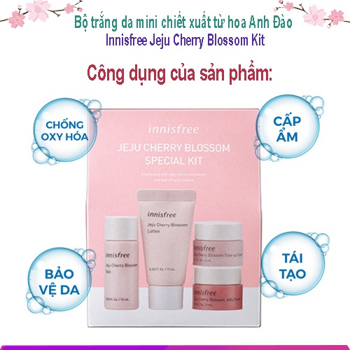 Kem Dưỡng Da Innisfree Bộ Mini Chiết Xuất Từ Hoa Anh Đào Jeju Cherry Blossom Kit