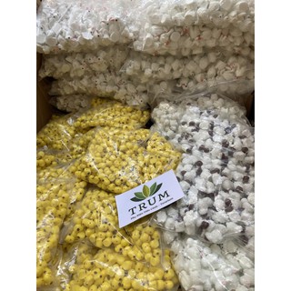 Thỏ Con Trắng - phụ kiện tiểu cảnh