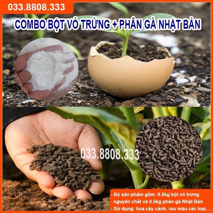 Combo 500gram Phân Gà Nhật &amp; 500gram Bột Vỏ Trứng Gà  Đã Qua Xử Lý Giúp Cải Tạo Đất