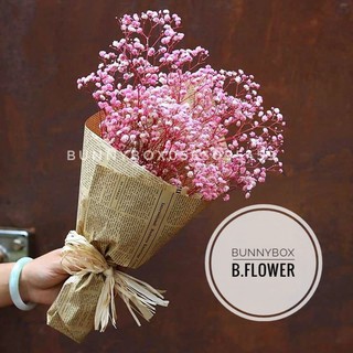 Hoa Baby- Vẻ đẹp mong manh mang nhiều ý nghĩa