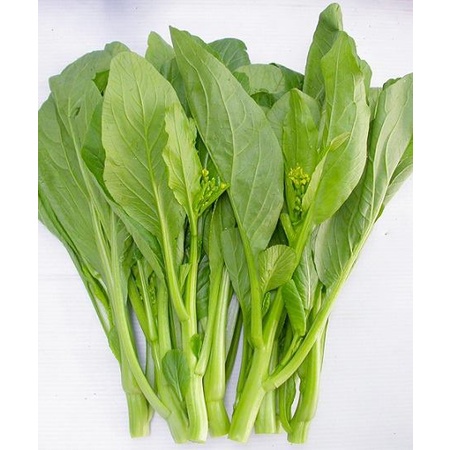 HẠT GIỐNG RAU CẢI NGỒNG XANH GÓI 20GR