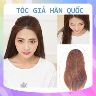 TÓC GIẢ LÀM PHỒNG MÁI CHE HÓI CỐ BẤM XÙ SỈ TOÀN QUỐC