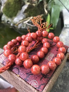 Vòng tay san hô đỏ 12ly