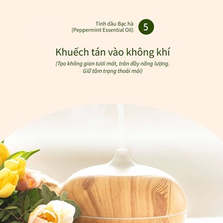 Tinh dầu bạc hà 100ml, hương thơm tươi mát, dễ chịu, tỉnh táo, chiết xuất từ thiên nhiên