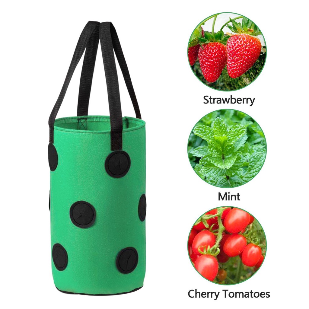YOLA Túi Trồng Dâu Tây 12 Lỗ Siêu Bền