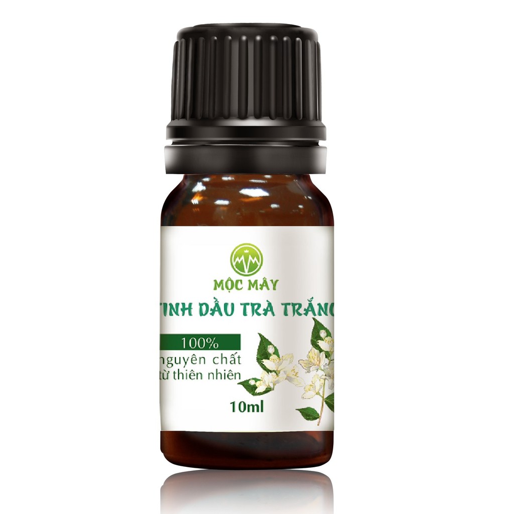 Tinh dầu Trà Trắng (White Tea Essential Oil) nguyên chất Organic từ thiên nhiên