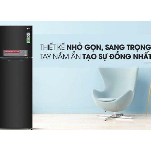 Tủ lạnh 255 lít LG Inverter GN-D255BL Smart