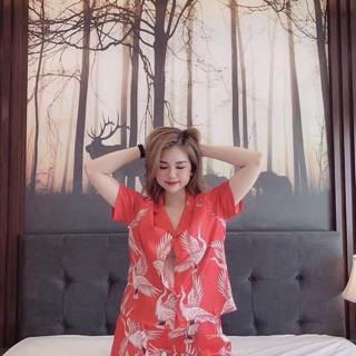 Bộ đùi satin